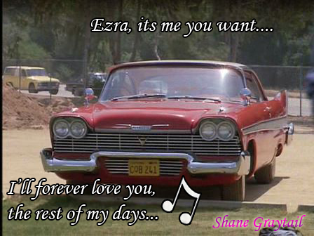 Shane_Graytail-CarWish