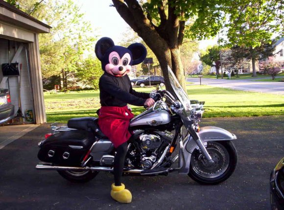 Too_Embarrissed-Mickey