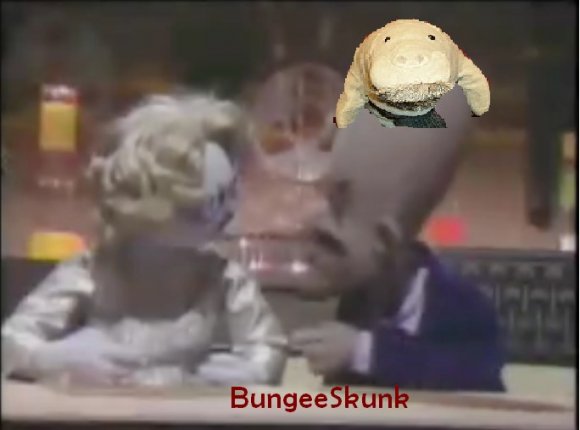 BungeeSkunk-mounted_poink