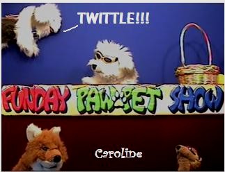 Caroline-twittle