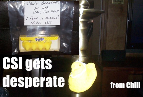 Chill-CSI_gets_desperate