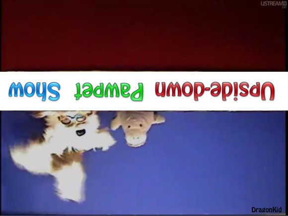 DragonKid-upside-down-pawpet-show