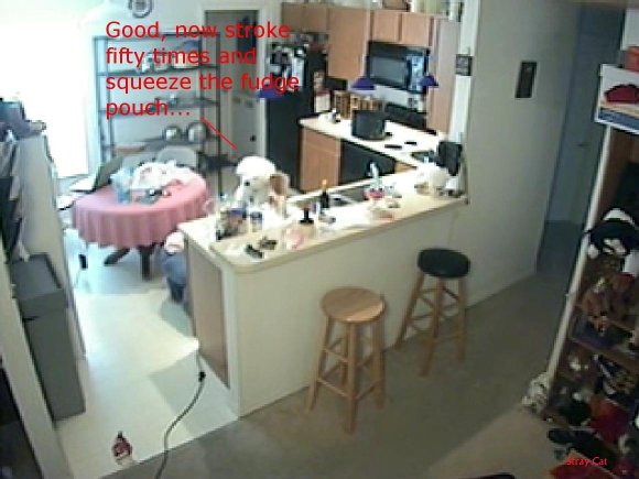 Stray_Cat-MakingBrownies