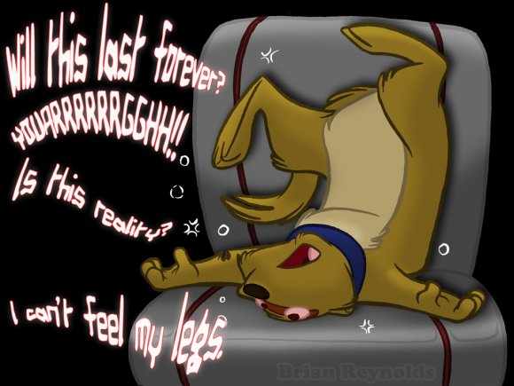 Reynolds-Poink_Questions_Reality