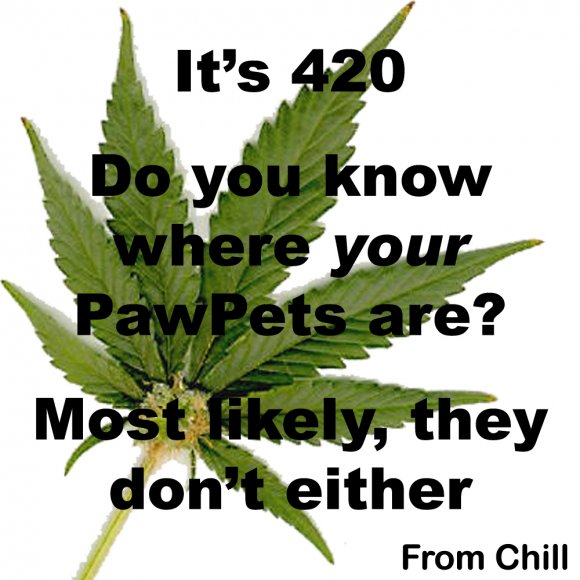 Chill-show_420_-_from_Chill