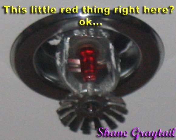 Shane_Graytail-Sprinkler