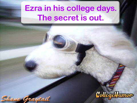 Shane_Graytail-ezrapic