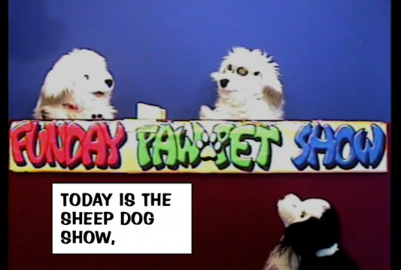 Snelfu-fps-sheepdogshow