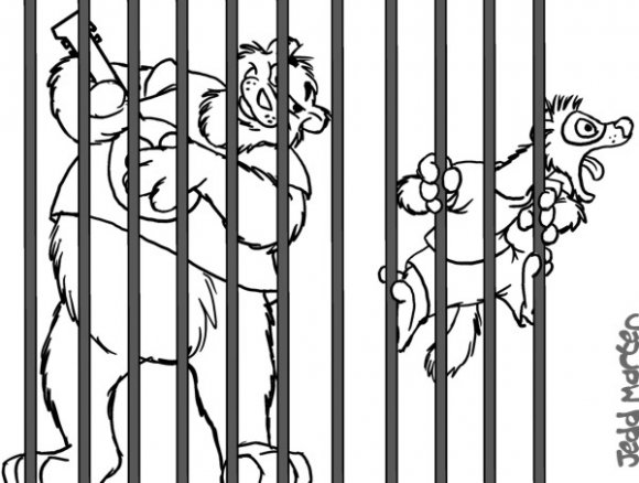 Jedd_Marten-poink_jail