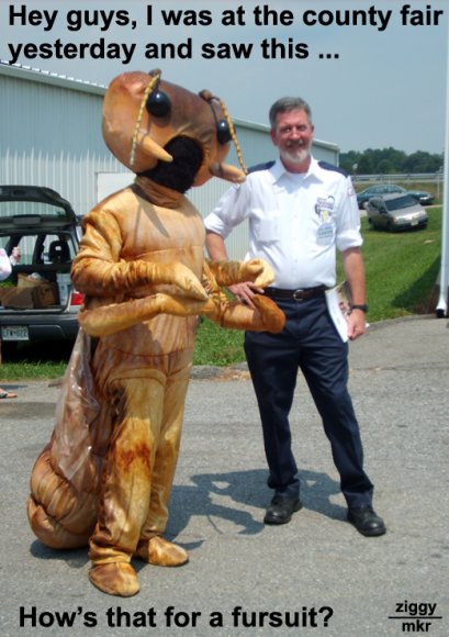 Ziggy-funday_bugsuit