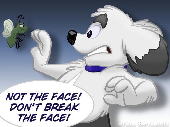 Reynolds-Break_the_Face