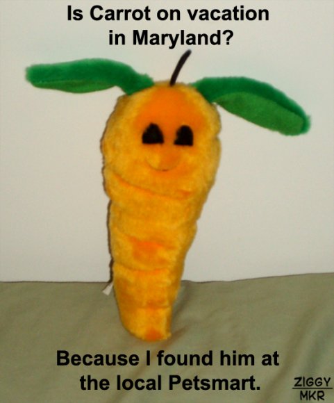 Ziggy-FundayRealCarrot