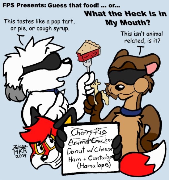 Ziggy-Funday_guessFood