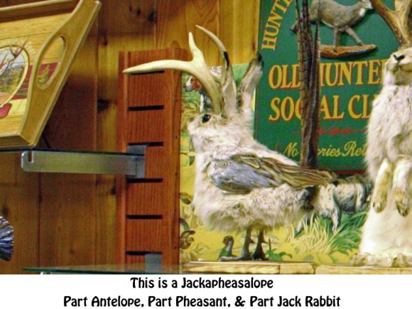 DragonKid-Jackapheasalope