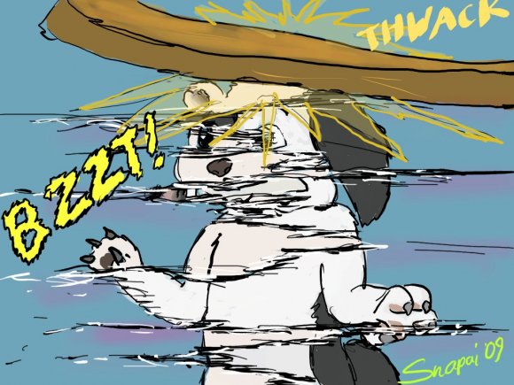 Snapai-yinyang_tracking