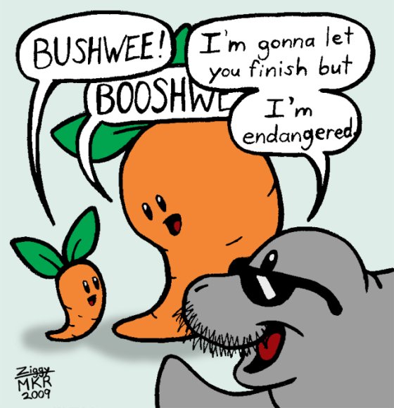 Ziggy-funday_BigBushwee