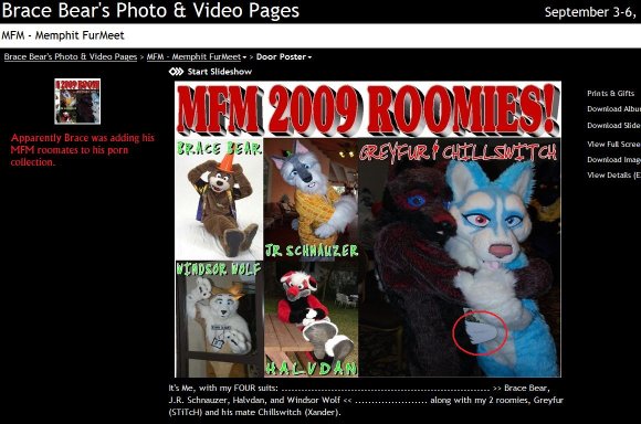 Stray_Cat-DirtyGreyfur