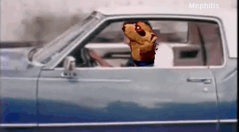 Mephitis-poink-car-fps