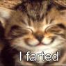 found_on_interwebs-funny-cat-that-farted