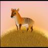 thought_it_was_cute-ZebraDuiker