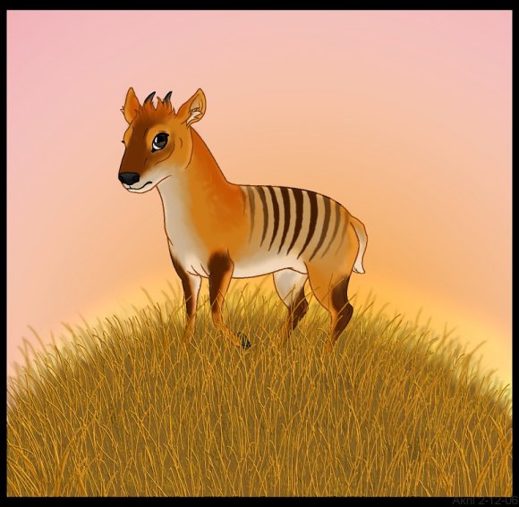 thought_it_was_cute-ZebraDuiker