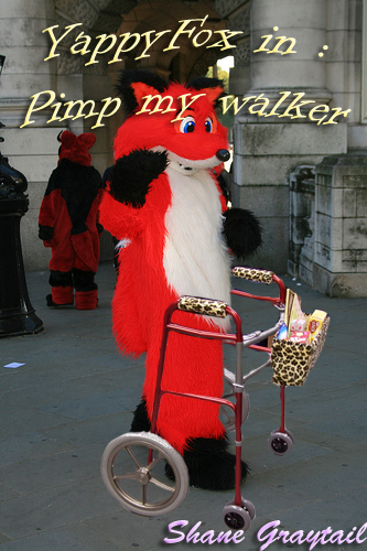 Shane_Graytail-YappyFoxPMW