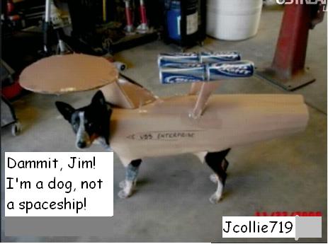 Jcollie719-TrekDogJcollie