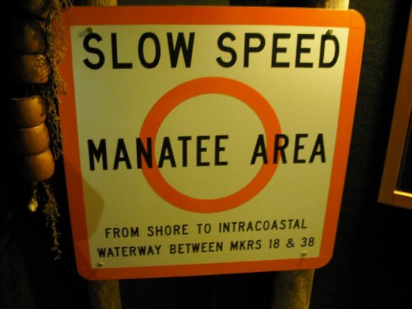 WanderingSnake-DSCF0584