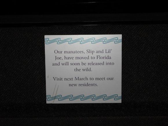 WanderingSnake-DSCF0588