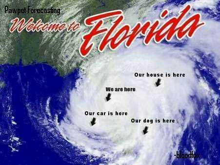 bloodfox-Welcome_to_Florida