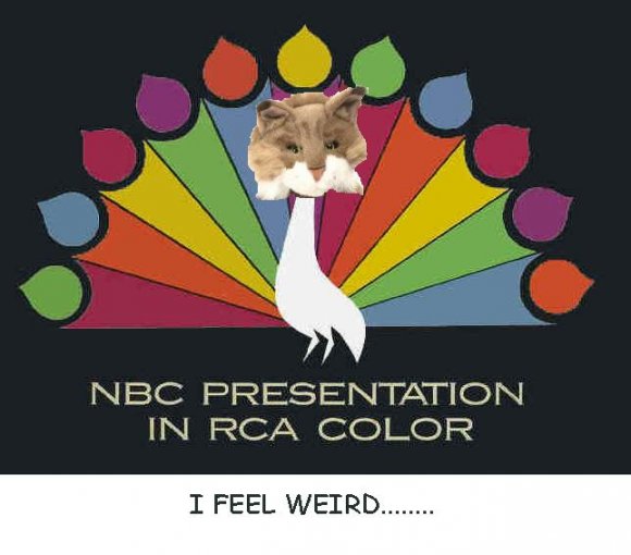 Anonymous-Peacock_Cleanup