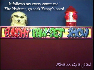 Shane_Graytail-FireHydrant