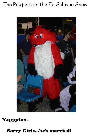 Anonymous-pawpets_on_ed_sullivan