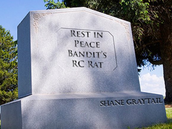 Shane_Graytail-RipRCToy