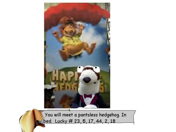 Anonymous-Poink_hedgehoge