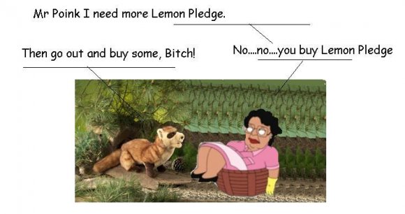 Anonymous-Poink_pledge