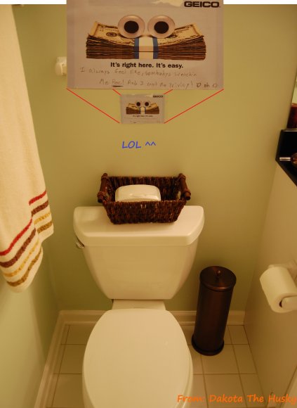 DakotaTheHusky-Gico_eyes_watching_you_pee