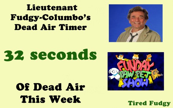 Fudgy-dead_air_timer_latest