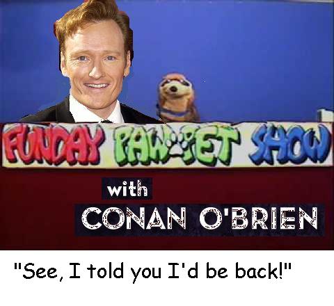 Anonymous-coman_pawpet