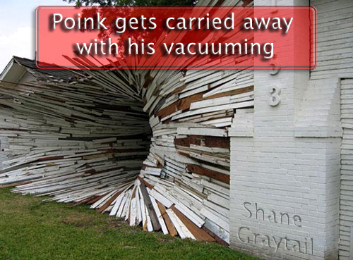 Shane_Graytail-PoinkVac