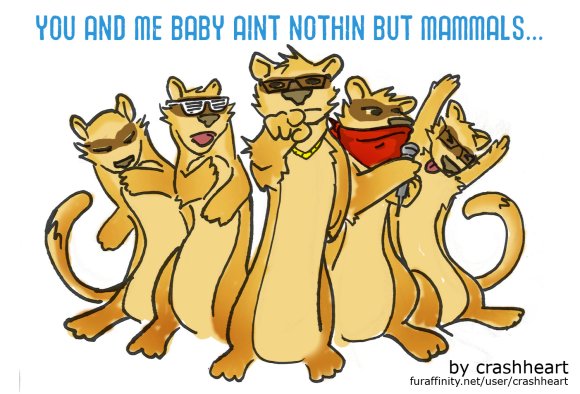 crashheart-bad_touch_ferrets