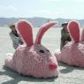 Anonymous-bunnyslippers