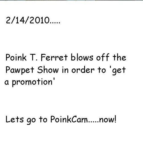 Anonymous-poink_pro_1