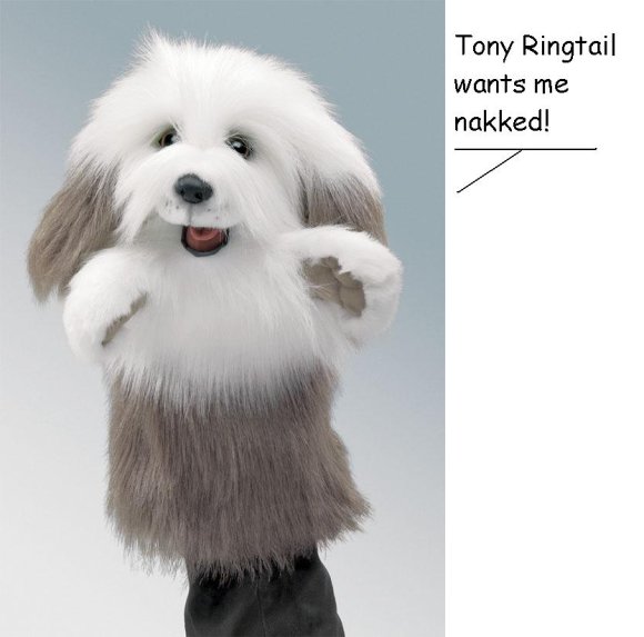 Anonymous-sheepdog_sp_2599