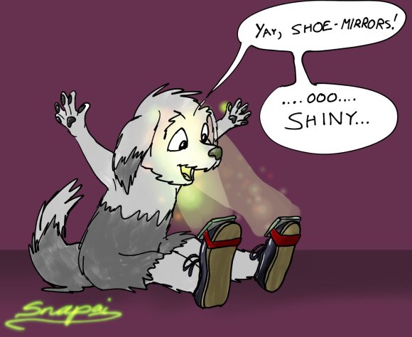 Snapai-mutt_shoemirrors
