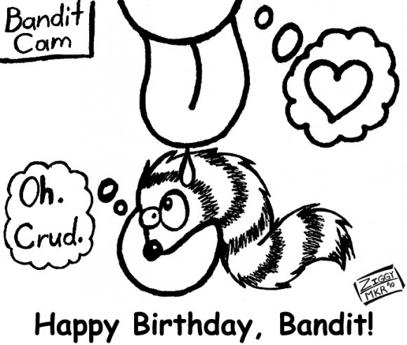 Ziggy-Funday_weaselBall