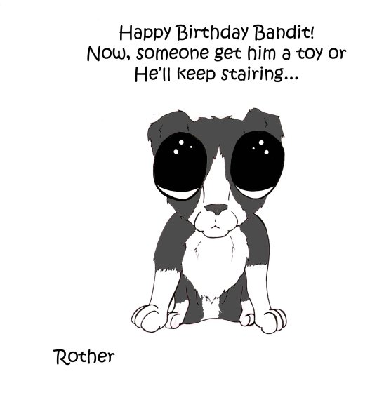 rother0-Bandit_B-day