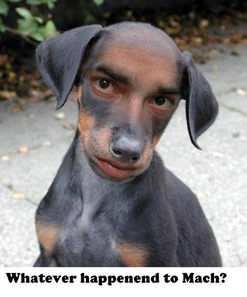 Anonymous-Weird-Dog-1058