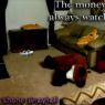 Shane_Graytail-money