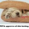 Anonymous-Peta_approved_hotdog